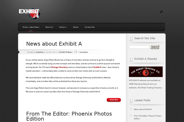 Polished theme site design template sample