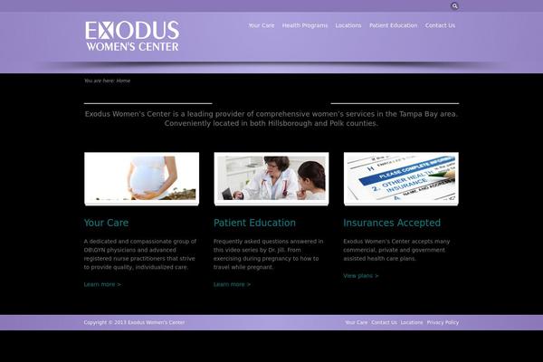 Flare theme site design template sample