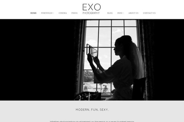 Vega theme site design template sample