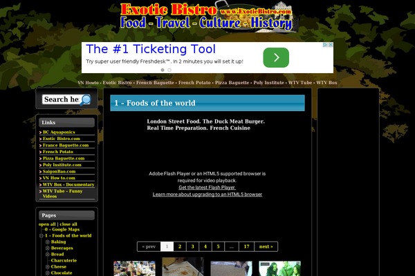 Albizia theme site design template sample