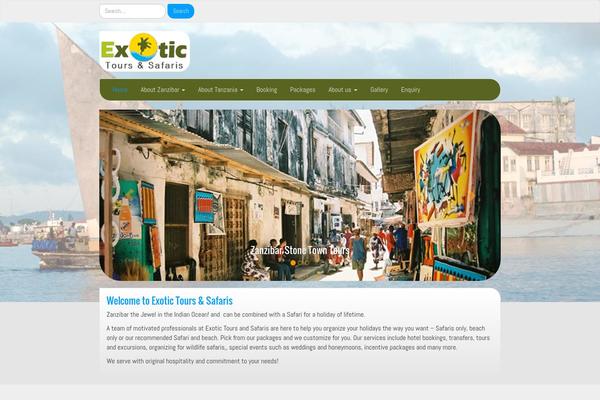 NanoMag theme site design template sample