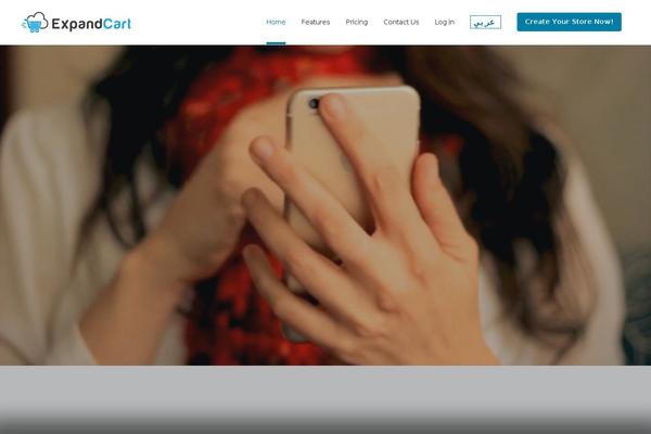Site using Ultimate-elementor plugin