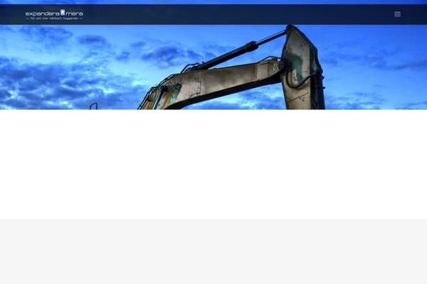 Site using Divi-icons-pro plugin