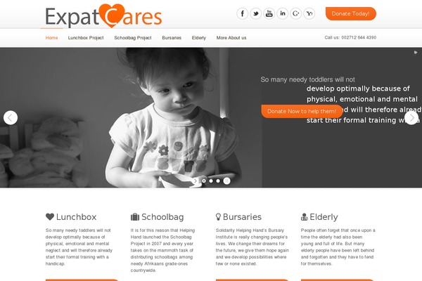 DonateNow theme site design template sample