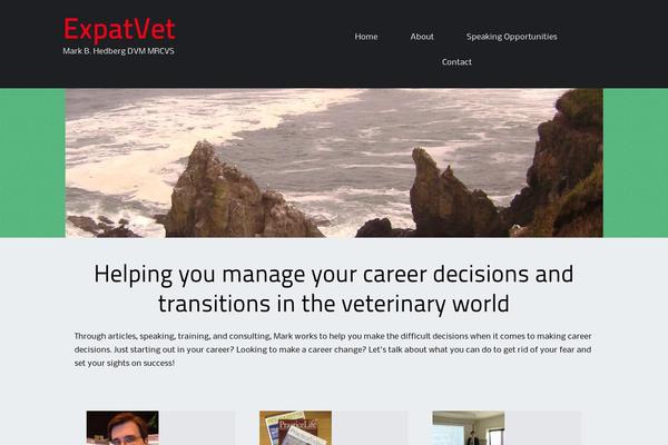BizFlare theme site design template sample