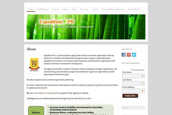 Skirmish theme site design template sample
