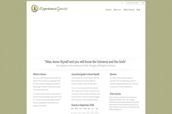 Chameleon theme site design template sample