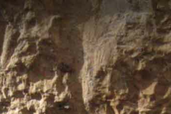 Parallax theme site design template sample