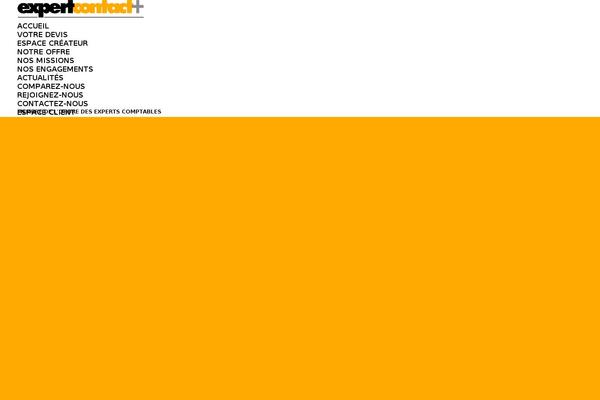 dt-the7child theme websites examples