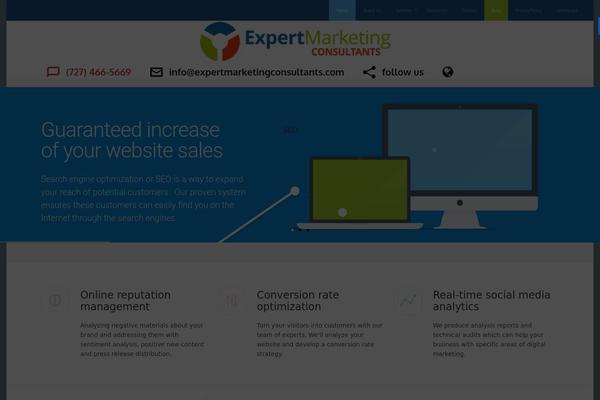 SEOWP theme site design template sample