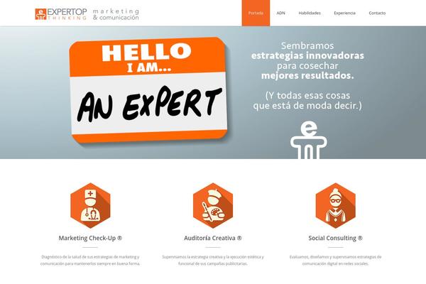 Advertica Lite theme site design template sample
