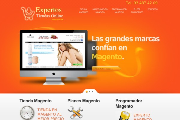 Theme1663 theme site design template sample
