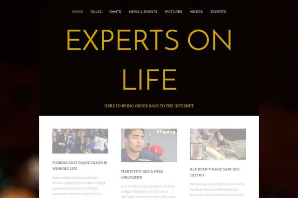 Create theme site design template sample