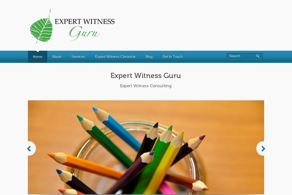 expertwitnessguru.com site used BizWay