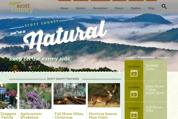 scottcounty theme websites examples