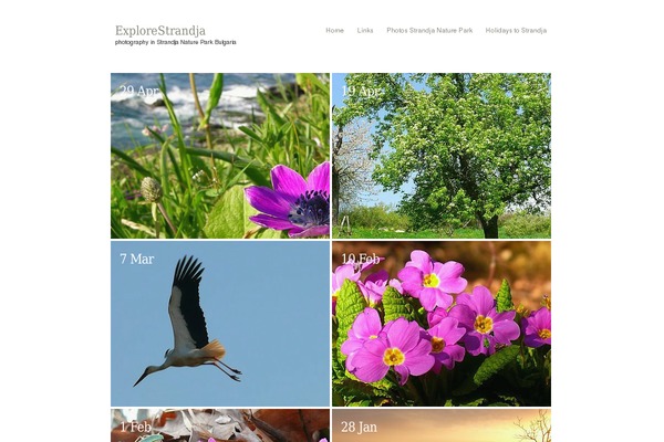 autofocusplus theme websites examples