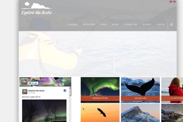Site using Elfsight-instashow plugin