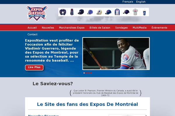 Site using Knews Multilingual Newsletters plugin