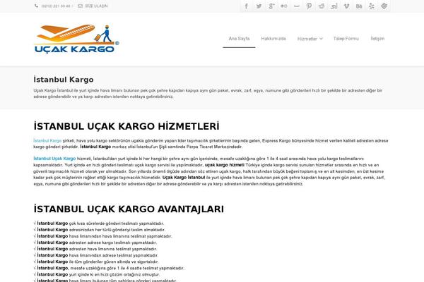 Envision theme site design template sample