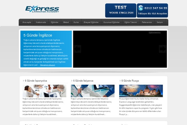 Enterprise theme site design template sample