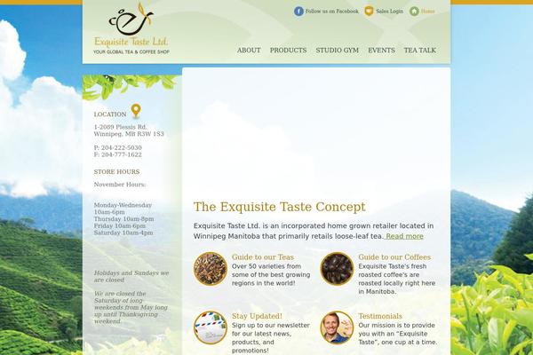 Exquisite theme site design template sample