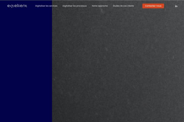 Salient theme site design template sample