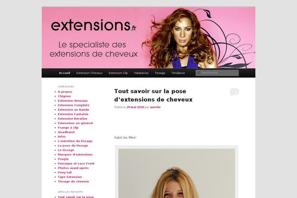 Site using Twenty Eleven Theme Extensions plugin