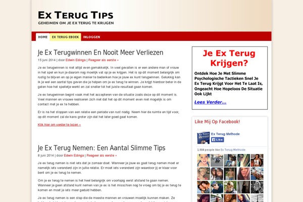 Site using Perfmatters plugin