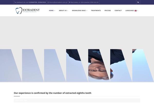 Apicona theme site design template sample