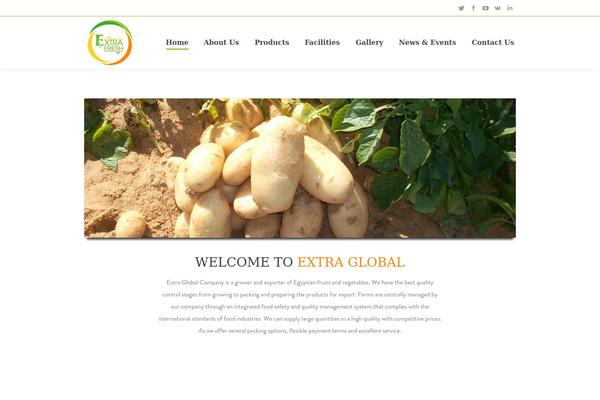 Extra-child theme site design template sample