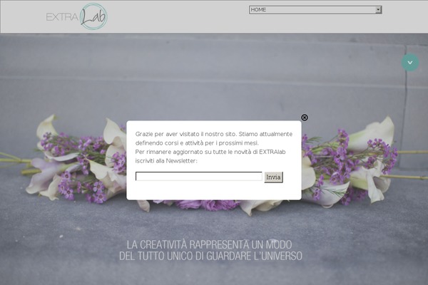 Montreal theme site design template sample