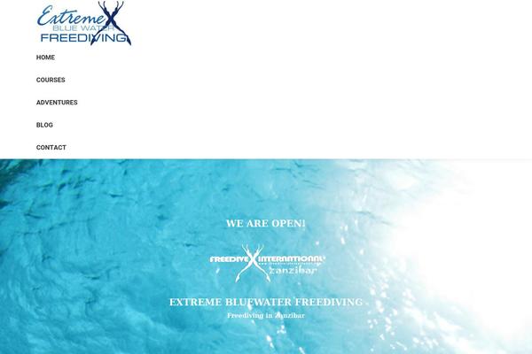 Site using Dt-the7-core plugin