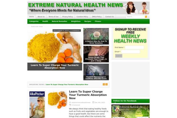 Resizable theme site design template sample
