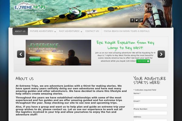 Rt_cerulean_wp theme site design template sample