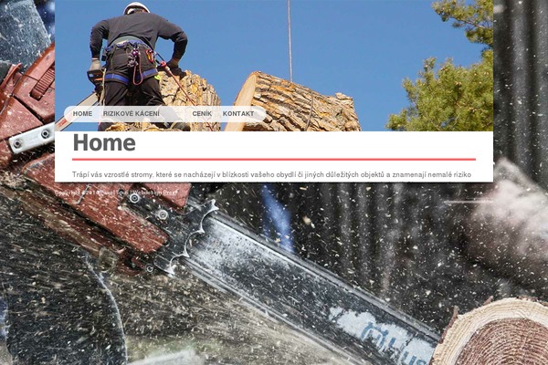 Self theme site design template sample