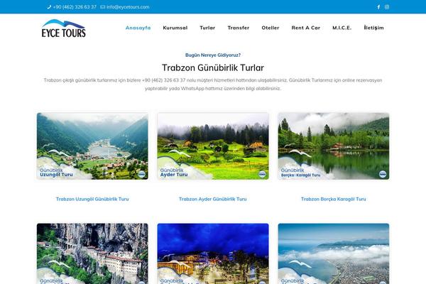 Tour theme site design template sample