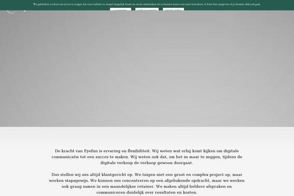Eyefun theme site design template sample