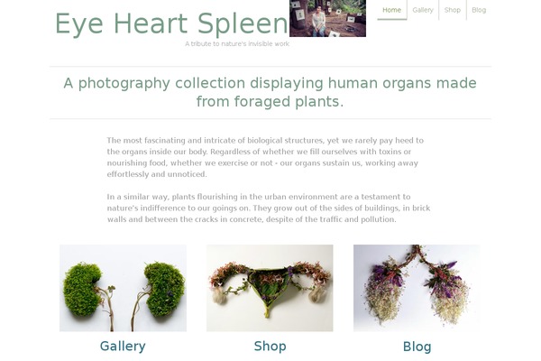Pilot Fish theme site design template sample