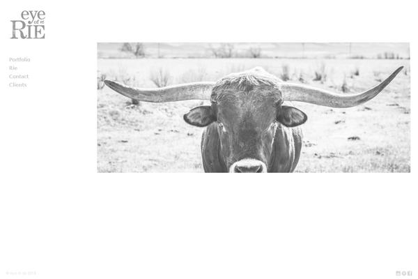 eames theme websites examples