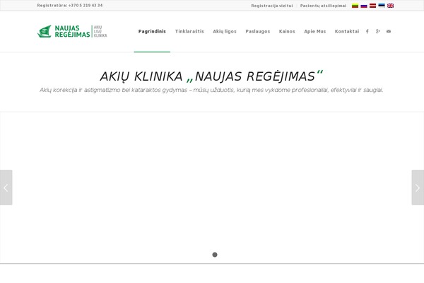 WordPress website example screenshot