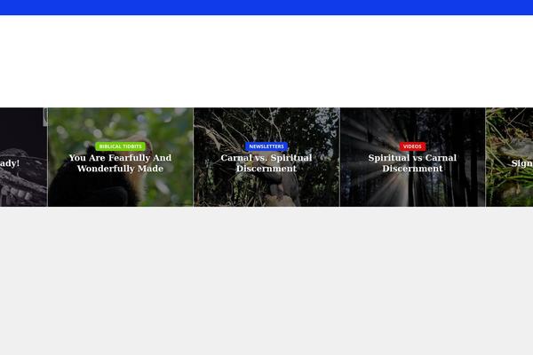 Site using Meks Smart Social Widget plugin
