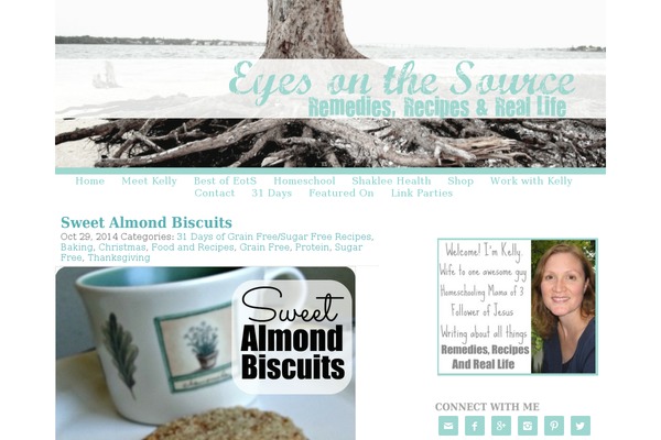 Site using Pinterest Image Pinner From Collective Bias plugin
