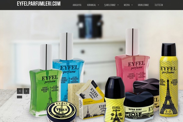 Lensa theme site design template sample