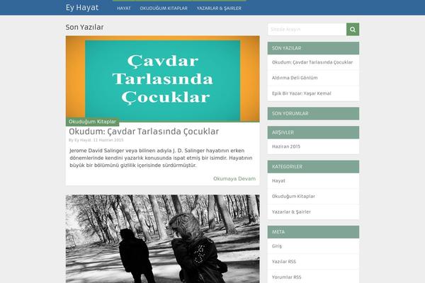 MagXP theme site design template sample