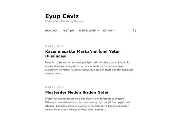 Write theme site design template sample