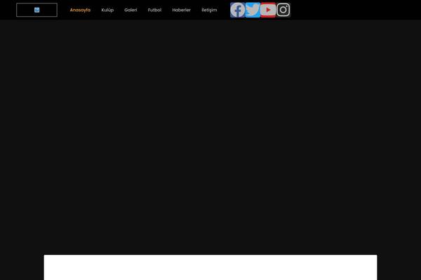 Gridiron theme site design template sample