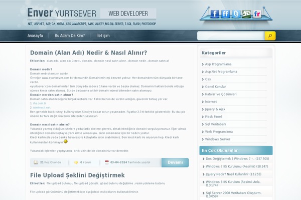 Olsen Light theme site design template sample