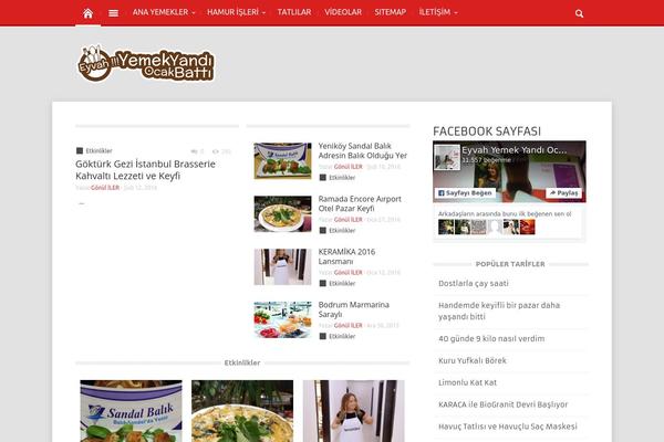 Magazin theme site design template sample