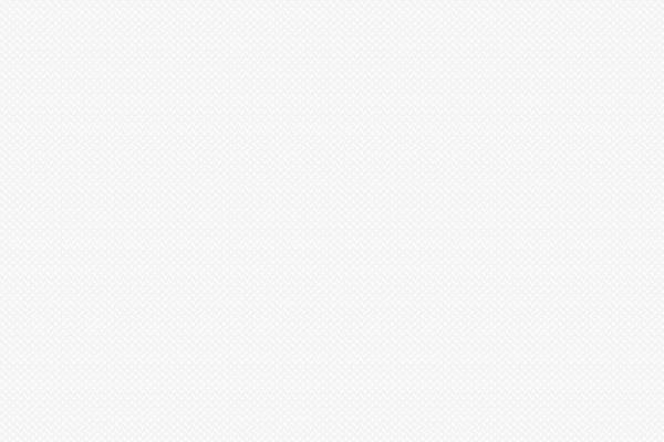 Site using Woocommerce-brands plugin