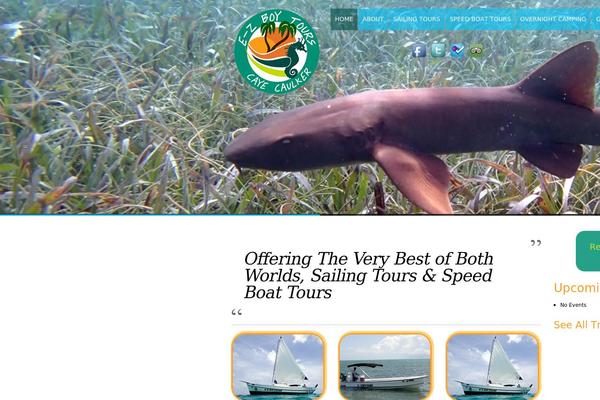 Cameleon theme site design template sample
